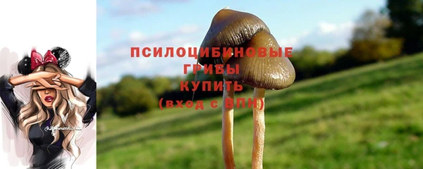 прущий лед Гусь-Хрустальный