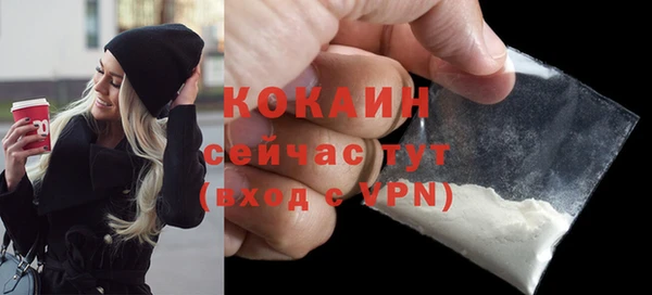 первитин Гусев