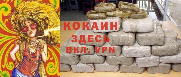 первитин Гусев