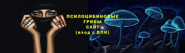 первитин Гусев