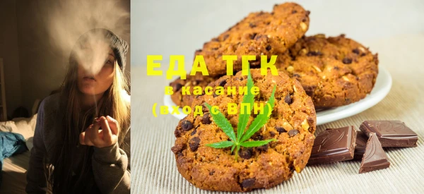 первитин Гусев
