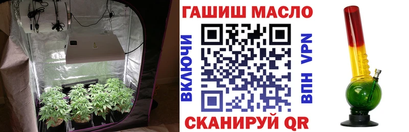 дарк нет наркотические препараты  Мценск  Дистиллят ТГК THC oil  hydra онион 